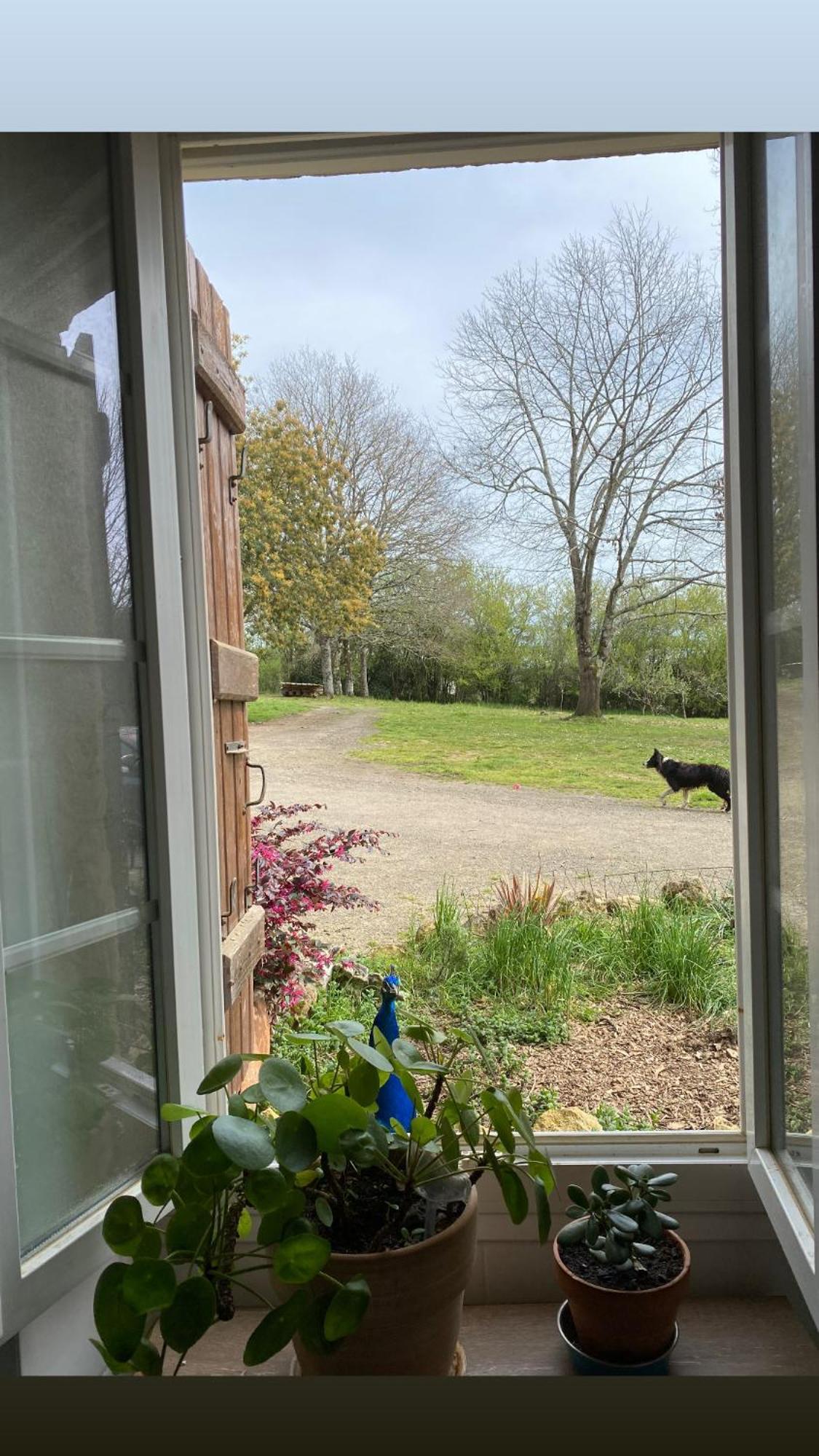 La Bastide Acomodação com café da manhã Armous-et-Cau Exterior foto